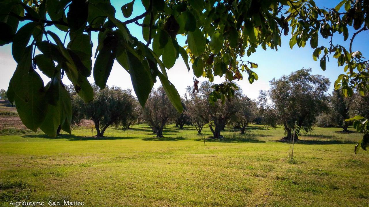 Agriturismo San Matteo Tarquinia Exterior photo